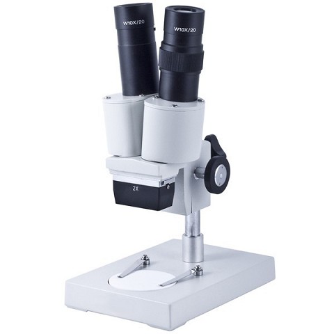 Microscopio Stereoscopico S-10-P